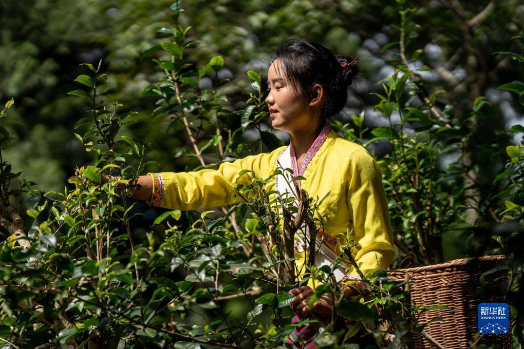 大富豪游戏下载